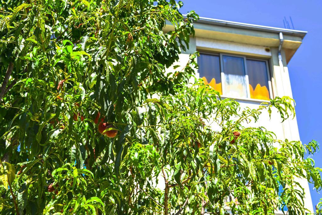 Pemaj Hostel Shkodër Exteriör bild